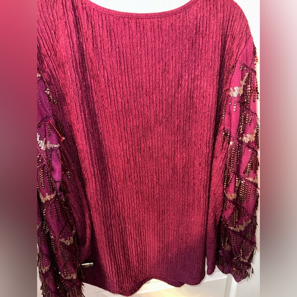 NEW Women's 2X Plus Size Sequin Sleeve Top Raspberry Sparkle Tunic V Neck Sexy - Picture 4 of 8